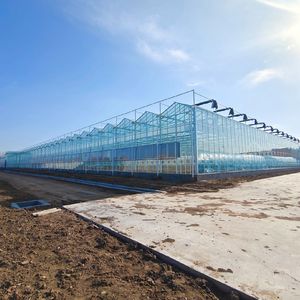 2025 coût d'usine <span class=keywords><strong>Serre</strong></span> commerciale Venlo 9.6m Span Glass Green house Garden Used for Sale - Product Image 3