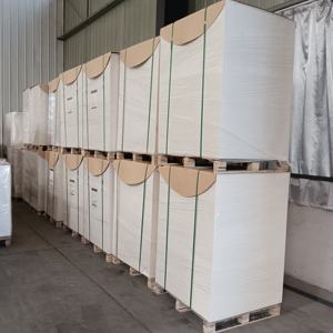 Papier en rouleaux double face pour gobelets, vente en gros d'usine, 210 g/m², 280 g/m² - Product Image 2