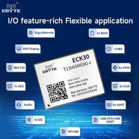 Ebyte ECB30-P4T13IA5ME8G-I 8GB 512MB Allwinner T113-i Ordinateur monocarte Raspberry Pi Carte de développement Linux embarqué ARMA7