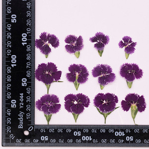 Bijoux en résine <span class=keywords><strong>rose</strong></span> arc-en-ciel avec pétales de fleurs naturelles pressées, écologiques - Product Image 1