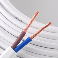 Hitzebeständiges BVVB Massivkupfer-Flachkabel Anti-Riss-PVC-Kabel für Bau, Fabrik, Werkstatt IP67-Zertifiziert Niederspannung