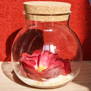 식품 학년 제습제 제조 공장 실리카겔 오렌지 색상 표시기 제습제 - Product Image 4