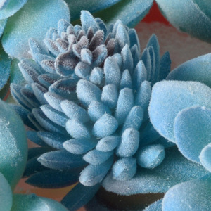 Plantas Suculentas Artificiales con Acabado Azul, Mini Bonsái, Juego de Cactus Artificiales de Plástico, Decoración para Interiores, Escritorio y Hogar - Product Image 4