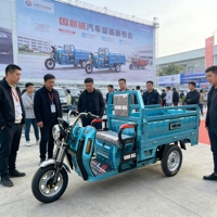 Triciclo Eléctrico de Carga Pesada para Huertos, con Gran Plataforma de Carga, Venta al Por Mayor