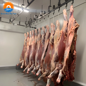 Poulie à rail plat robuste en SUS304 avec roulement en cuivre pour machine de traitement de <span class=keywords><strong>la</strong></span> viande en abattoir, <span class=keywords><strong>boucherie</strong></span> CE - Product Image 6