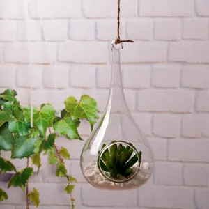 Hanging Clear Common Glass Terrarium for Air Plant Water Dropper Glass Vase