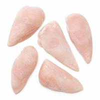 Filets de poitrine de poulet surgelés IQF de qualité supérieure, viande de volaille entière pour la restauration et la transformation en gros