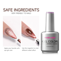 Fournisseur professionnel OEM de vernis à ongles en gel Marque privée Gel magnétique pour ongles en œil de chat Sans Hema/Tpo