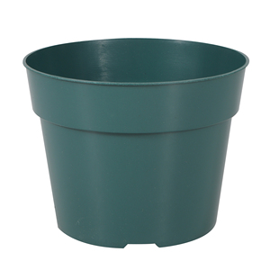 โมเดิร์นเสริมใสเนอสเซอรี่หม้อ 4/6/8/10 นิ้วต้นกล้าโปร่งใส Macetas พลาสติกแกลลอน Grow กระบองเพชรฉ่ํา - Product Image 1