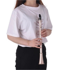 <span class=keywords><strong>Saxophone</strong></span> de poche ABS Sax Mini <span class=keywords><strong>Saxophone</strong></span> portable Petit <span class=keywords><strong>saxophone</strong></span> avec sac de transport Instrument à vent - Product Image 4