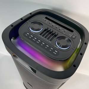 60W(Peak) Haut-parleurs portables sans fil pour fête à la maison avec double caisson de basses profondes, microphone, radio FM, lumières, télécommande - Product Image 2