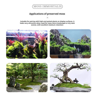 Mur de mousse éternelle; Préservation de la vraie mousse; Matériel de bricolage de boîte à fleurs éternelle; Micro-paysage de mur de plantes éternelles