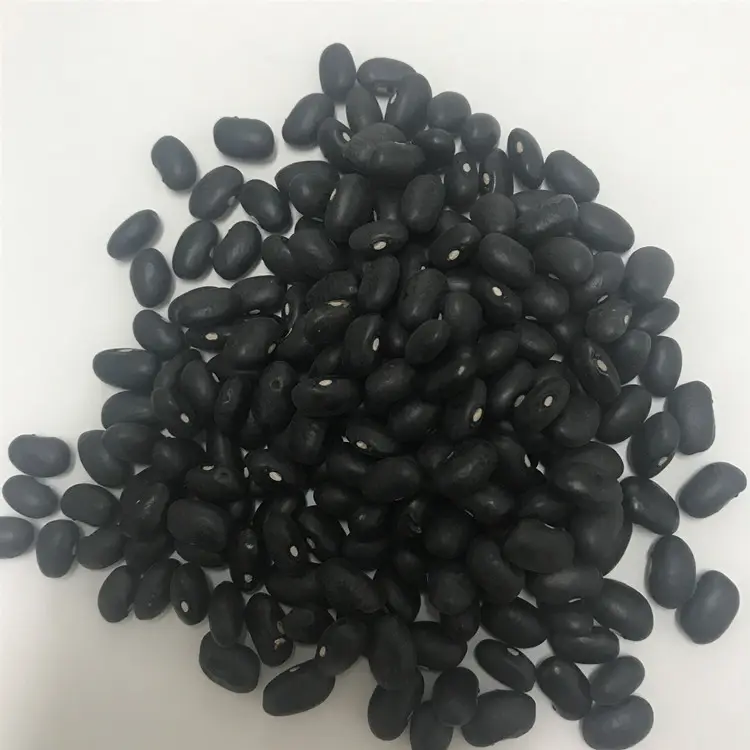 Kidney Beans Black Kidney Beans