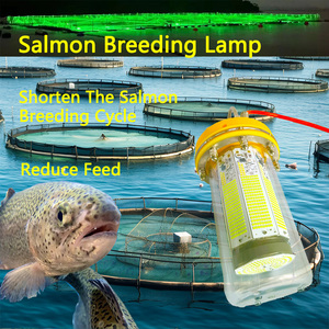 Luz <span class=keywords><strong>de</strong></span> pesca verde Led 1100W 8 Side Glow Plus Resplandor inferior luces <span class=keywords><strong>de</strong></span> pesca a prueba <span class=keywords><strong>de</strong></span> agua luces <span class=keywords><strong>de</strong></span> pesca luminosas fluorescentes nocturnas - Product Image 6
