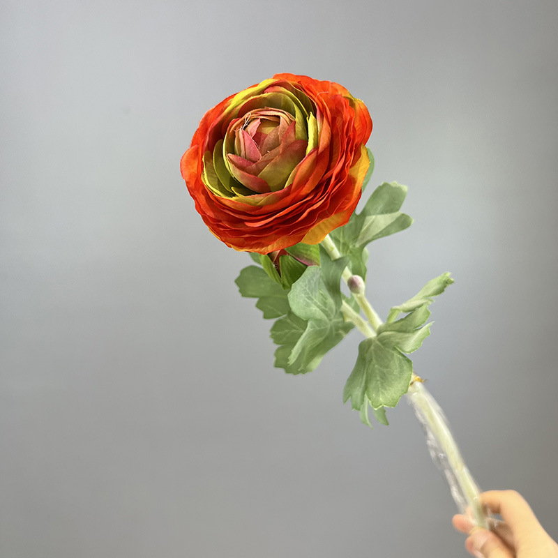 Naranja Rojo Verde