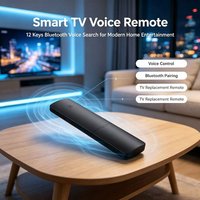 Control Remoto de 12 Teclas con Activación por Voz para Smart TV LCD, Android TV Box, Carcasa Personalizada OEM ODM, Suministro de Fábrica