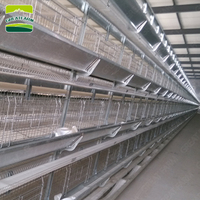 Cages à Poulets et Cailles de Type H à 4 Niveaux, Galvanisées à Chaud, de Haute Qualité, Cages Automatiques en Fil pour Poules Pondeuses, pour Usage Avicole