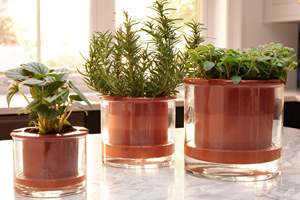 Kit de jardinière de <span class=keywords><strong>Pot</strong></span> humide auto-arrosant de ferme décors d'intérieur extérieurs uniques pour l'utilisation de <span class=keywords><strong>Pot</strong></span> de fleur suspendu de plancher de jardin de pépinière - Product Image 2