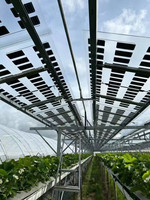 Panneau solaire transparent 100W 500W, module photovoltaïque à film mince BIPV pour serres/toits de fenêtres, panneaux solaires transparents
