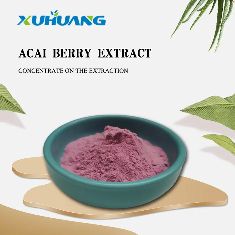 Nguồn Cung Cấp Từ Nhà Máy Chiết Xuất Quả Mọng Acai Chiết Xuất Quả Mọng Anthocyanin 25% Acai