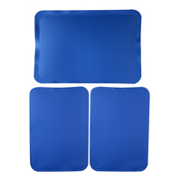 OEM Hot Cold Packs Best-seller Pack de glace en gel pour le traitement de la douleur Pack de gel froid personnalisable