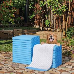 Almohadillas de Entrenamiento para Cachorros Wee Wee, Núcleo Súper Absorbente para un Aprendizaje Rápido - Product Image 1