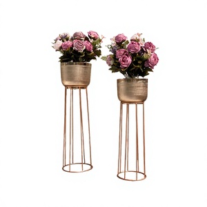 Jardinières en fer de différentes tailles avec support doré pour la décoration de la maison, de l'hôtel et du jardin, pot à plantes - Product Image 1