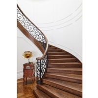 Escalier hélicoïdal courbé Tanlong avec marches en bois massif et garde-corps en fer forgé orné, escalier de luxe
