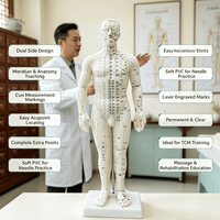 Modelo de Acupuntura Masculino de PVC Suave de 50 cm con 409 Puntos Etiquetados y Soporte para Laboratorio de Habilidades de Enfermería, con Certificaciones CE, ISO, ROHS, CNAS y SGS