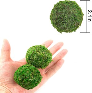 Bola de musgo <span class=keywords><strong>Marimo</strong></span> seca de tamaños personalizados, para decoración de mesa en el hogar, en el exterior - Product Image 5