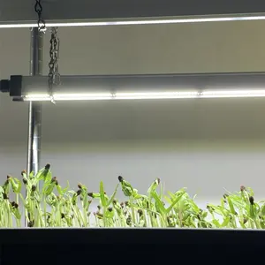 Tubo conectable T5 para cultivo de lechuga, luz led vertical para cultivo hidropónico de vegetales verdes