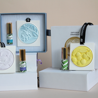 Désodorisant en Pierre de Plâtre OEM/ODM, Coffrets Cadeaux Personnalisés avec Huile Parfumée, Diffuseur de Carte Parfumée pour Voiture