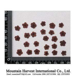 Fiori Pressati Essiccati Veri, Narcisi / Giacinti d'Acqua - Product Image 3