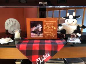 Pet anıt <span class=keywords><strong>Urns</strong></span> köpek veya kedi külleri için ahşap cenaze kremasyon çömleği fotoğraf çerçevesi sake Box kutusu kaybı ile Pet hatırlama hediye - Product Image 3