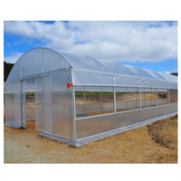 Serre hydroponique agricole tente en plastique monocouche avec acier et PE carré petit grand tunnel de tomates pour les serres