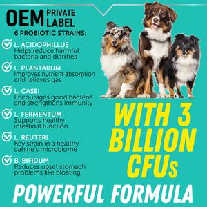 Premium Probiotica Voor Honden En Katten-Spijsverteringsenzymen & Probiotica Supplement-Helpt Bij Het Braken Van Gas, Constipatie Slechte Adem - Product Image 5