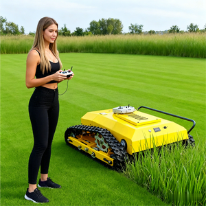 Fabriqué en Chine, tondeuse à gazon télécommandée à quatre temps, tondeuse à gazon professionnelle, robot agricole télécommandé - Product Image 2