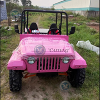 Mini Jeep Dune Buggy à transmission automatique Caiteng, électrique/à essence, garantie de 2 ans - Options de moteur 150cc/200cc/250cc