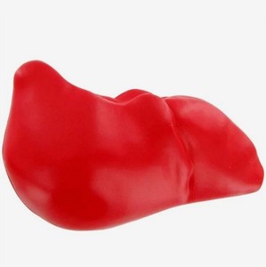 Customized Liver Shape Pu <b>Foam</b> Balls With Logo Printing Portable Stress Relievers - Product Image 4