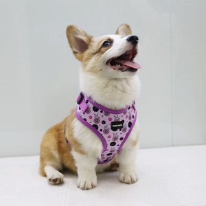 Produsen OKEYPETS Tali Kekang Anjing Lucu, <span class=keywords><strong>Harness</strong></span> Anjing Lucu Merek Terkenal Kustom Jaring Berpori Tanpa Tarik