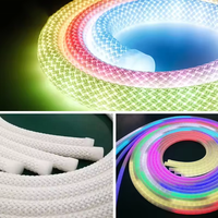 Nouveauté : Bande LED néon tressée intelligente étanche IP67 5V/12V/24V, adressable RGB, éclairage paysager à 360 degrés, CRI 90 élevé