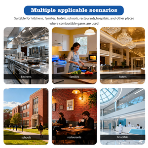 Alarma de Gas Combustible de Pared CAATM, Detector de Fugas de Metano, Control Remoto por Aplicación NB-IoT, Sistema de Alarma de Seguridad, 0-20%LEL - Product Image 5