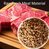 Makanan Kucing Kering Bebas Biji-bijian Tinggi Protein Rendah Natrium Daging Segar Kibble Semua Usia Hipoalergenik OEM ODM Label Pribadi