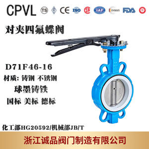 Vanne papillon manuelle à disque plat avec revêtement PTFE D71F46-16 pour huile et eau, en acier moulé, fonte ductile, acier inoxydable - Product Image 5