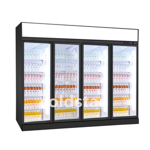 Congélateur vertical à porte battante / Congélateurs commerciaux à porte vitrée / Réfrigérateur vertical de classe C pour boissons - Product Image 1
