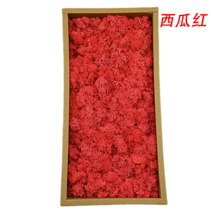 Panneau d'art EG-V033 renne naturel décoration vivante plantes Michen mousse mousse naturelle préservée mur d'herbe de mousse - Product Image 6