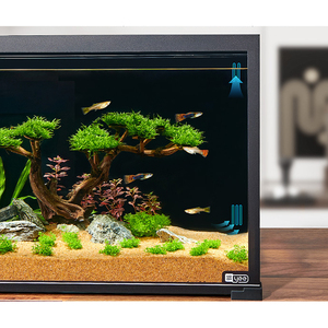 Best Sellers Glass Tabletop <strong>Fish</strong> <strong>tank</strong> with Ultra-white Back Filter <strong>Small</strong> Ecological Tabletop Landscape <strong>tank</strong> Glass for Household - Product Image 3