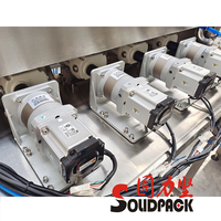 Solidpack Machine automatique de remplissage d'embouteillage de bouteilles de vinaigre de sauce soja chaude au piment épais de haute précision