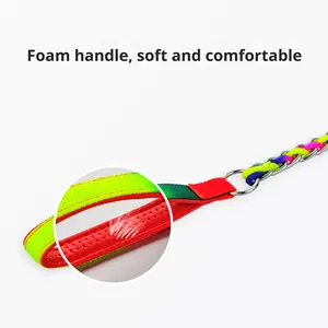 <span class=keywords><strong>Collar</strong></span> de entrenamiento de cadena de hierro resistente a la masticación para perros medianos y grandes, accesorios para mascotas - Product Image 4