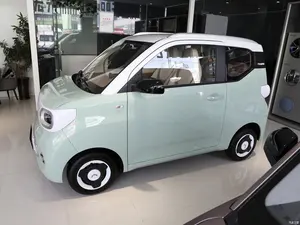 Leading Electric Car Brand Wuling Hongguang Mini Ev 2024 Wuling Mini Diecast